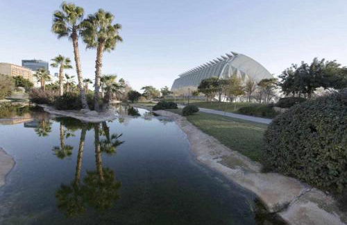 Apartamento en Av de Francia y CArtes y Ciencias - Foto 31