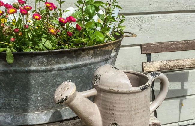 Annelinniemi - Foto 23