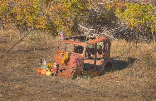 Pine River Model Cabin 1 BR Bayfield - Foto 35