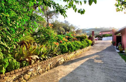 Blue Dream Apartments - Foto 77