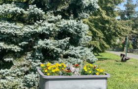 Ferienhaus Helfert FeWo 1 mit großer Terrasse - Foto 34