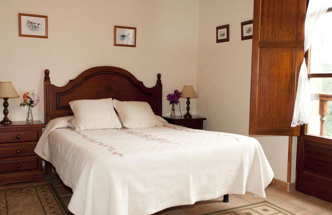 Trisqueles y Buganvillas - Photo 5