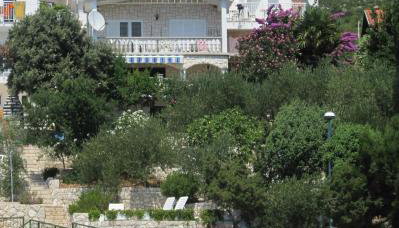 Apartments Mediteraneo - Foto 2, Garden