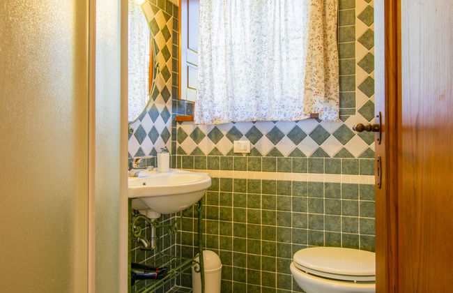 Cedri Alti - Foto 15