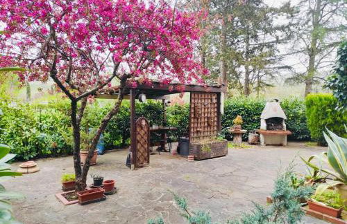 Casa del Riccio - Foto 20