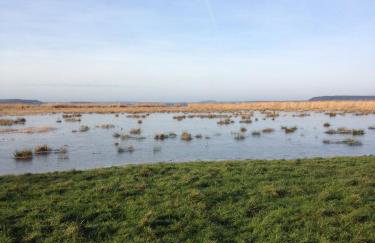Urlaubsglück Familien- & Hunde-Paradies - Foto 30