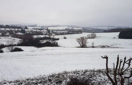 Apartment Naturblick Hollywood - Foto 28
