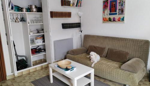 Studio pied dans l'eau Petite Plage de Domino pour 4 personnes - Foto 4
