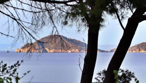 Casa del Mare - Oasi verde a soli 100m dal mare! - Foto 4, Garden