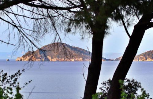 Casa del Mare - Oasi verde a soli 100m dal mare! - Foto 4