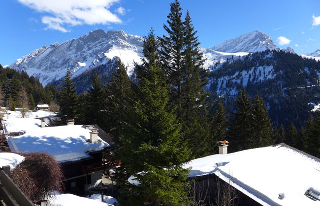 Arsets 203/12 - Foto 23