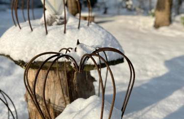 Ommelsbacher Mühle - Foto 73