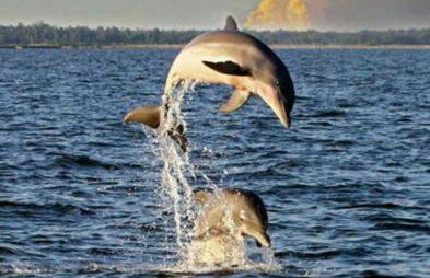 Charming Country Cabin with Self Check In - Foto 13