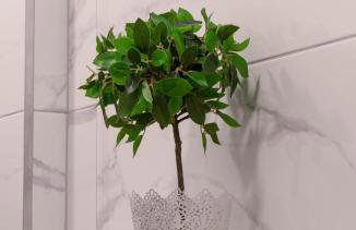 Golden Studio - Foto 14