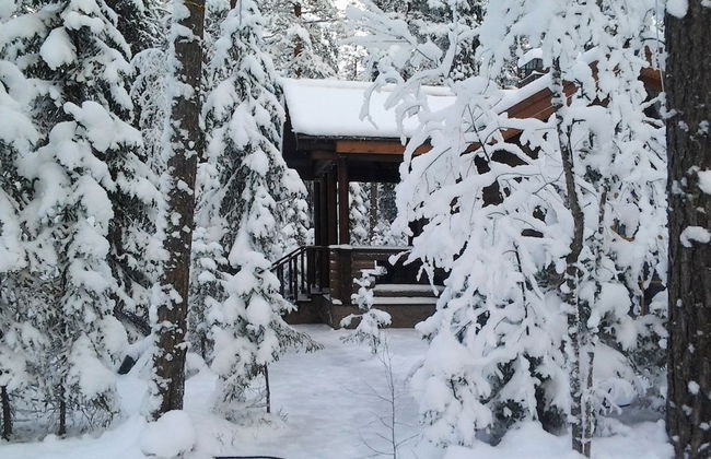 Shishki na Lampushke - Russkaya Derevnya - Foto 27