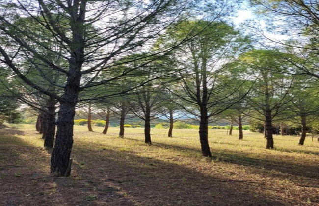 Villa With Pool & Views - Photo 42