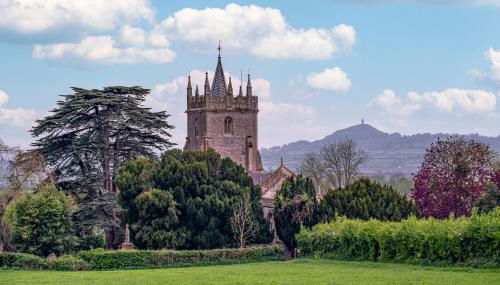 The Little Cottage - Peaceful, Dog Friendly Cottage in 5 Acres - Foto 1