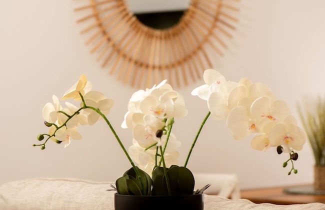 Oasis Cairns - Pool Free Parking Wifi - Foto 5