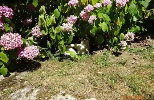 Maison du XVème au cœur du village médiéval - Foto 50