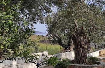 Chrysa's cottage house - Foto 11