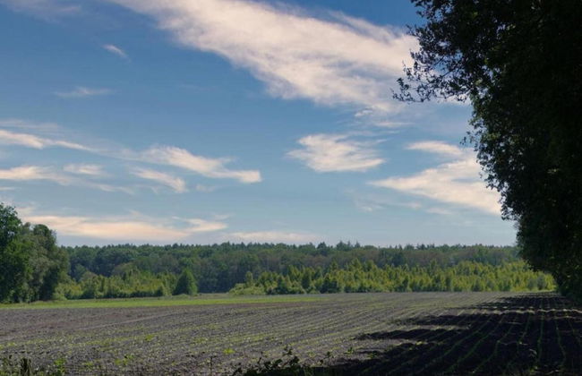 Tranquil Stay in Drenthe - Photo 35