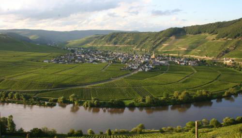 Claes Weinquartier - Appartements & Wein by Niko Schmitt - Foto 2