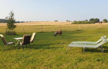 Der kleine Fuchshof mit Hund, Pferd und Huhn - Photo 9