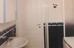 Le primule - Foto 14