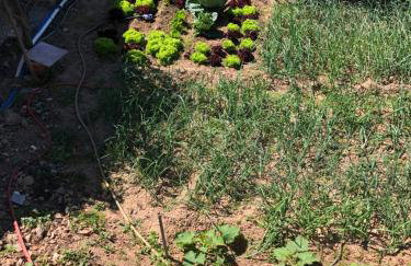 ARETI Sea View Mountain Cottage - Foto 26