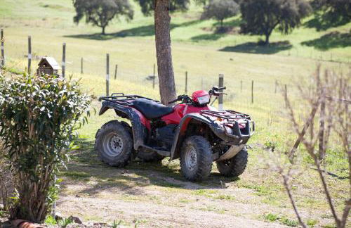 Herdade das Pintas - Foto 32