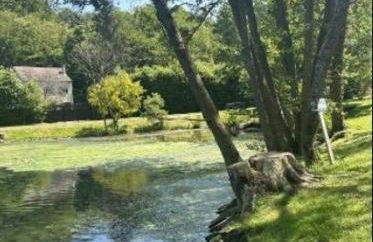 Adorable studio proche du lac d'Elancourt - Foto 18