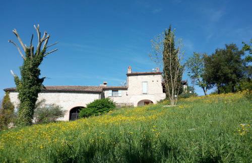 Agriturismo del Frontino - Lo Studio - Foto 6