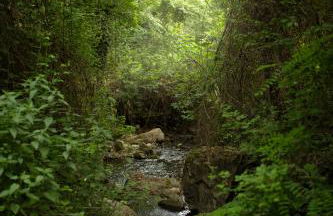 MULINO VECCHIO - Foto 31