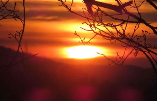 Apartment in Montieri - Toskana 38264 - Foto 14