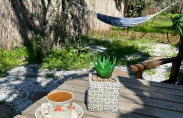 Sol's Place - Photo 16