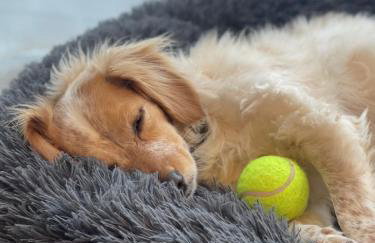 Stones Throw Lodge - Foto 24