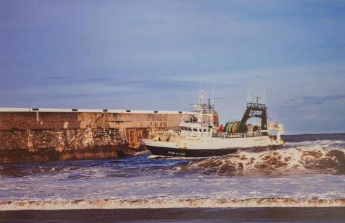 Arrigorri - baskeyrentals - Foto 10