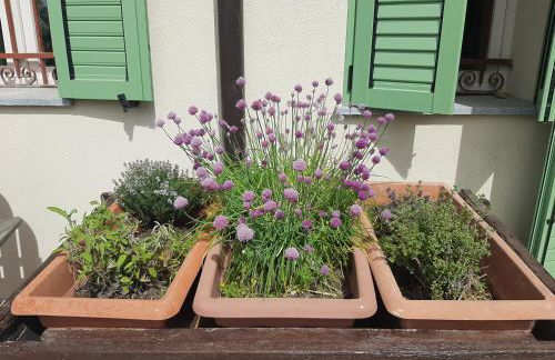 Cascina Teresina Monferrato Piscina - Foto 23