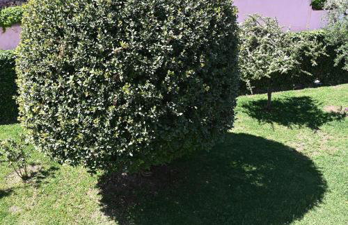 Beverley's House Rio - Photo 31