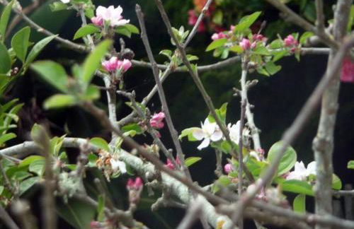 1br in quaint area, subway 12 mins to downtown, free EVcharge - Foto 3