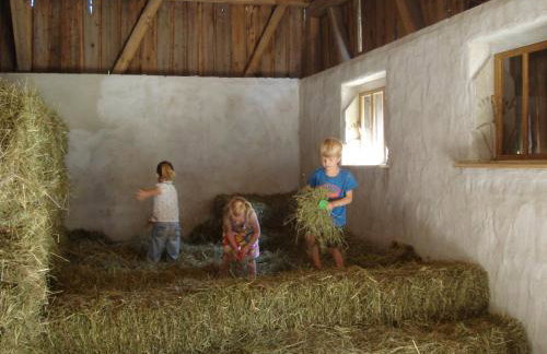 Ferienhof Hohe - Foto 37