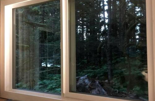 Rustic Cabin Rental for a Secluded Escape to Whale Island, Alaska - Foto 9