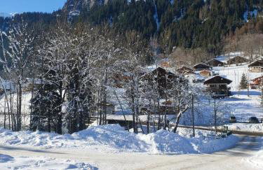 Studio Châtel Secteur Linga Proche Pistes - Foto 11
