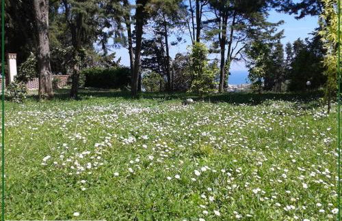 VILLA AUREA with private pool and park - Photo 64