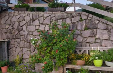 Schwarzwaldferienwohnung Oberle - Foto 38