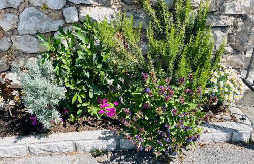 Kuća za odmor “Dida” - Photo 17