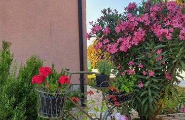 Villa Rosse - Foto 9