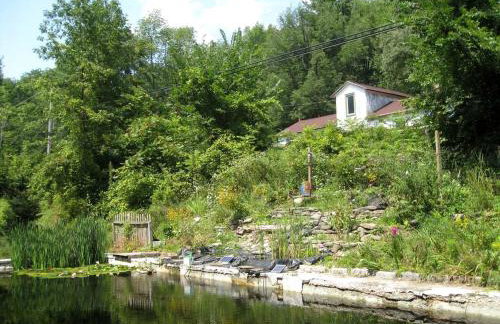 Rustic Couples' Cabin for Idyllic Catskills Getaway, Upstate New York - Foto 16