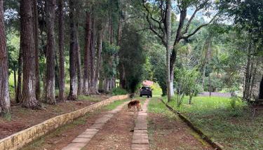 Chácara Saluti - Foto 3