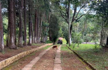 Chácara Saluti - Foto 3